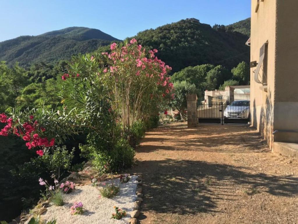 Bel Appartement Type F3 Amélie-les-Bains-Palalda Exterior foto